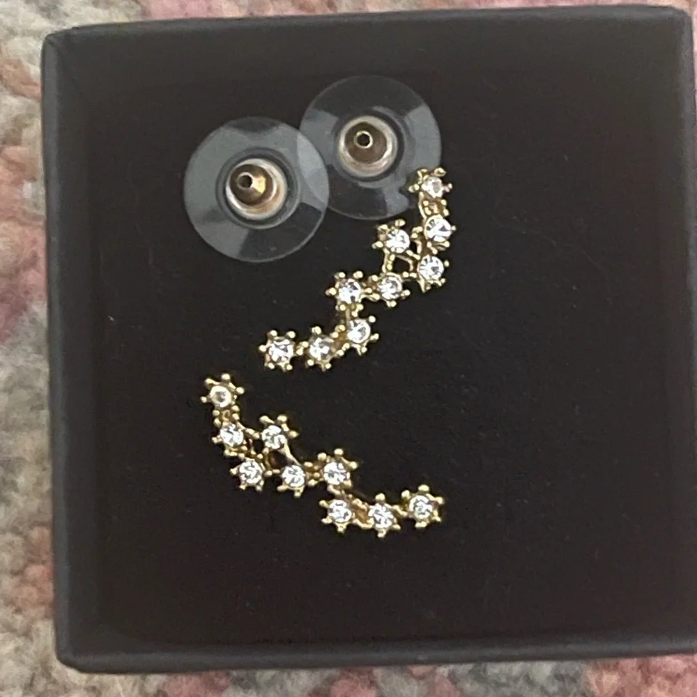 Elegant Gold and Crystal climbing Earrings